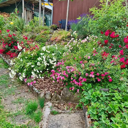 Kespergarten Апартаменты *