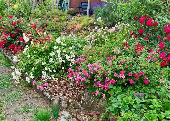 Kespergarten Apartmán *