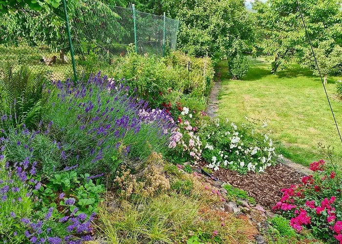 Kespergarten * Witzenhausen